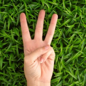 3 fingers