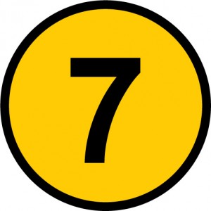 Chapter 7 Bankruptcy
