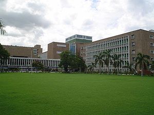 Central Lawn of AIIMS Central Lawn of AIIMS